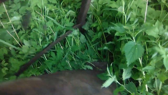 КОП МЕТАЛЛА! ВЫЕЗД НА КОП ПОСЛЕ СИЛЬНЫХ ДОЖДЕЙ... смотреть онлайн