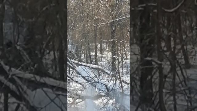 АНЕКДОТ. ЛЕВА. ПОДПИСЫВАТЬ В ОТВЕТ. смотреть онлайн