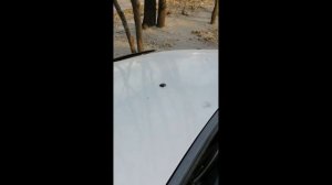 Запуск двигателя (стук)