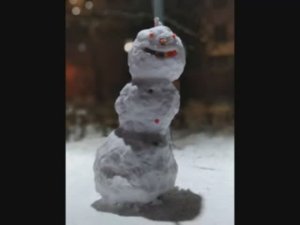 Снеговики 2022
