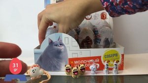 Шоколадные яйца тайная жизнь домашних животных. Распаковка сюрпризов