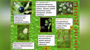 Природа и наша безопасность. Окружающий мир. 3 класс.