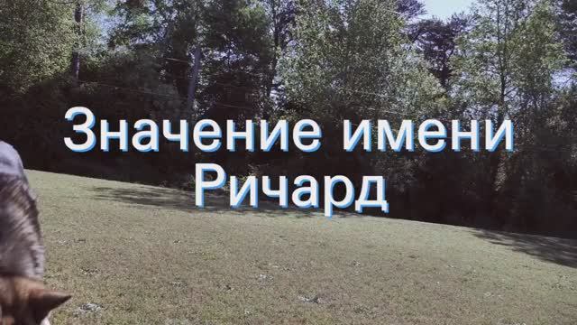Значение имени Ричард. Толкование, судьба, характер смотреть онлайн