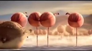 круглые животные