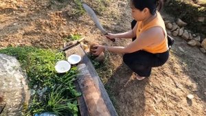 Почему они постоянно трапезничают  | Мумаичка чистит кокосы на нашем участке | Жизнь с филиппинкой