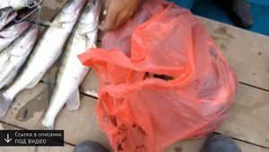 рыболовные базы на раскатах базы