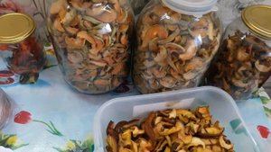 Результаты работы сушки для фруктов и овощей. Заготовка сухофруктов.