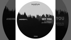 Hey You (Tomason Remix)