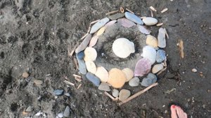 Рыбалка Сахалин, браконьеры, горбуша, икра Лето на Сахалине Сахалинская область, остров Сахалин