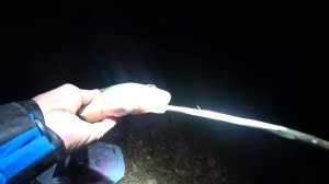 ЗАБРОСИЛ ЗАКИДУШКИ НА ПАЛКЕ И ОФИГЕЛ!!! Ловля судака. Рыбалка 2022. Коптильня kohler.