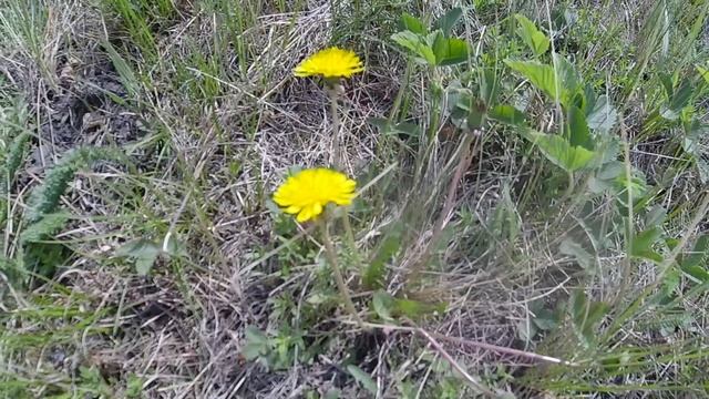 Мурзабулат аул в Щербакульском районе Омской области/Murzabulat aul in Omsk region