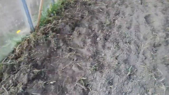 Фермер FM-811MX. Отзыв пользователя. Культивируем в парнике. смотреть онлайн