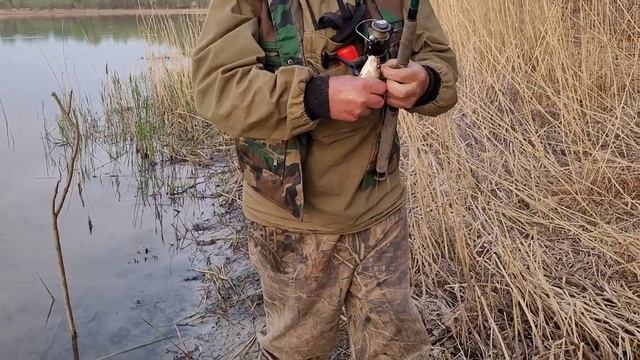 Карась прёт, только успеваем вытаскивать