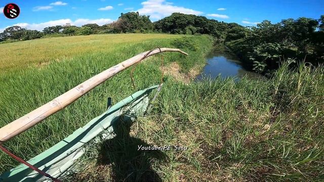 SEPERTI SAMBARAN TOMAN!! CASTING IKAN GABUS MONSTER UMPAN SOFTFROG/MANCING IKAN смотреть онлайн