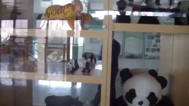 Зоопарк Пекин 46 82 смотреть онлайн