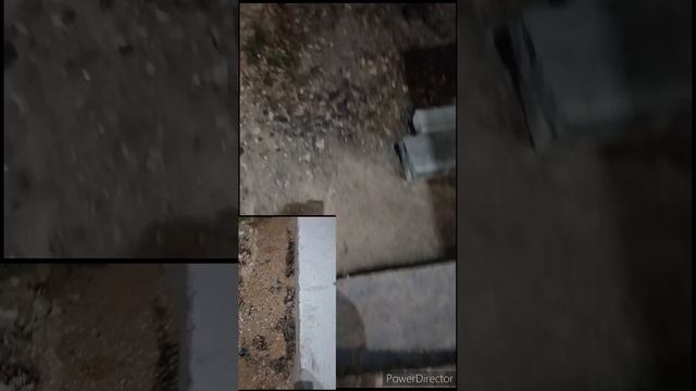 Лягушки ? Керчь