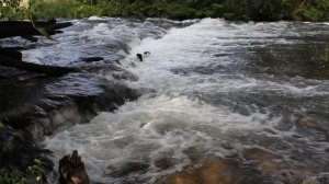 Река Красивая Меча