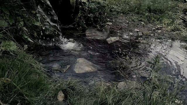 Всеобуч. Автор - Андрей Гарин. Мистическая история. ИсторииТО