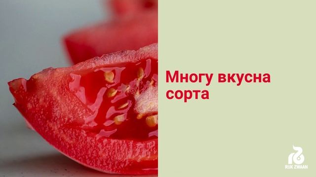 Manusa RZ F1-Извонреден вкус !!! - Manusa RZ F1 - Yielding taste! (in Macedonian) смотреть онлайн