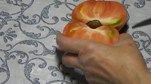 Томат Жимолостный. Тест зрелого томата.