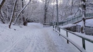 Дорогу педагогу! Нашли хатку бобра и заблудились в лесу.