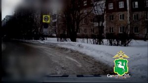 В Томской области автоинспекторы помогли женщине, на питомца которой прыгала потерявшаяся овчарка
