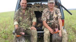 Охота на перепела Quail Hunting