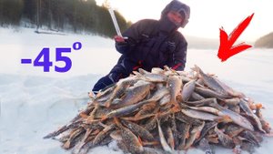 ЭТА МОРМЫШКА КОСИТ ПЛОТВУ И ОКУНЯ Наловили гору рыбы Подводные съёмки ловли на гвоздекубик СИБИРИЯ