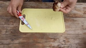 Бутерброды с куриной грудкой на мангале. Закуска для майских праздников.