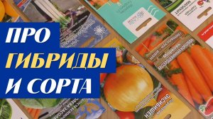 Какие выбрать семена гибриды или сорта ?