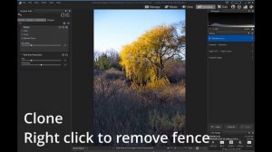 ACDSee Develop Mode Workflow