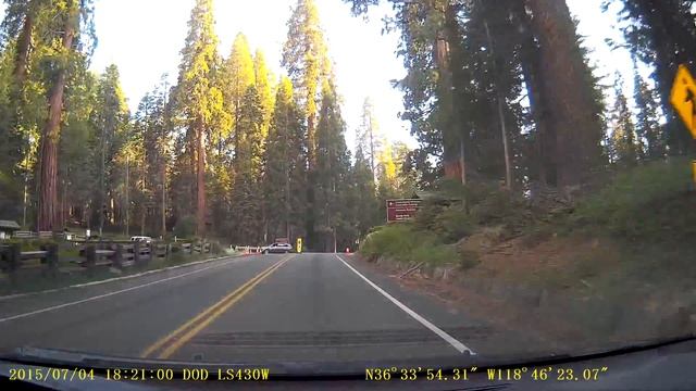 California, Sequoia National Park - Национальный парк секвойя, штат Калифорния
