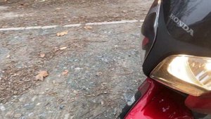 Honda CBF600SA 2009r.