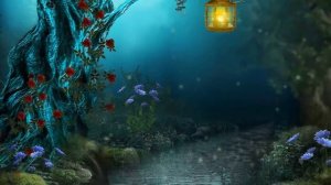 Футаж, Волшебство в ночи