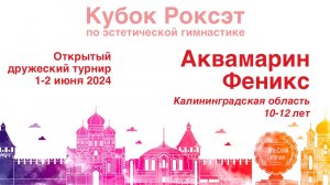 Аквамарин Феникс, Турнир "Кубок Роксэт 2024", предварительные соревнования