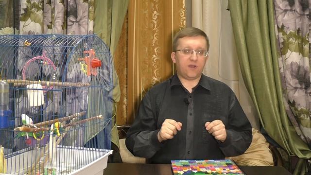 #028. Кто такой верстальщик? Что он делает?