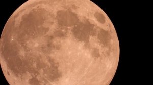 Nikon Coolpix P1000 As Requested The Pink Full Moon in 4K !