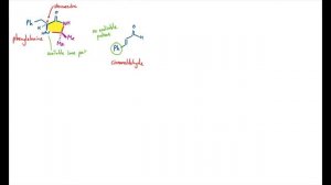 Nobel Prize in Chemistry 2021 Part 2, Asymmetric Organocatalysis, Enantioselective Organic Chemistr