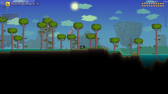 Terraria 1.2.3: Bug Net! (Catch Frogs, Scorpions, Butterflies, Bunnies, Penguins, & MORE!) @demizeg