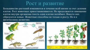 Естествознание 6 класс. Тема урока: Процессы, присущие живым организмам.