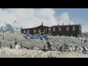 Пингвинья почта (Penguin Post Office)