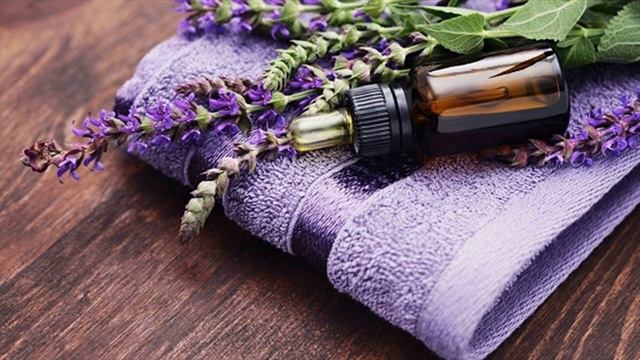 Lavender Oil, Vanilla, Lemon Juice Spray For Mosquito Repellents- How To Use