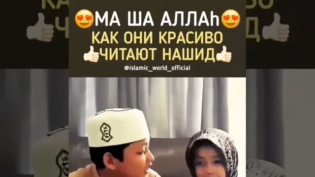 Нашид смотреть онлайн