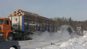 ХОЗЯЕВА ТАЙГИ. ПРОБКА ИЗ 80 ЛЕСОВОЗОВ.
