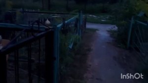 УХОДЯ С КЛАДБИЩА, НУЖНО ГОВОРИТЬ...   ВЕДЬМИНА ИЗБА  ▶️ ИНГА ХОСРОЕВА