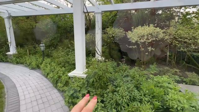 Обзор цветущего сада в июне 2023 г. смотреть онлайн