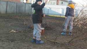 сыновья братья рубят дрова ?24 02 2024