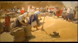 Откуда к нам хлеб пришёл