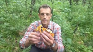 Вот они где грибы и ягоды! У болота!