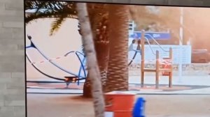 Телевизор TopDevice TDTV32CN04H 2023